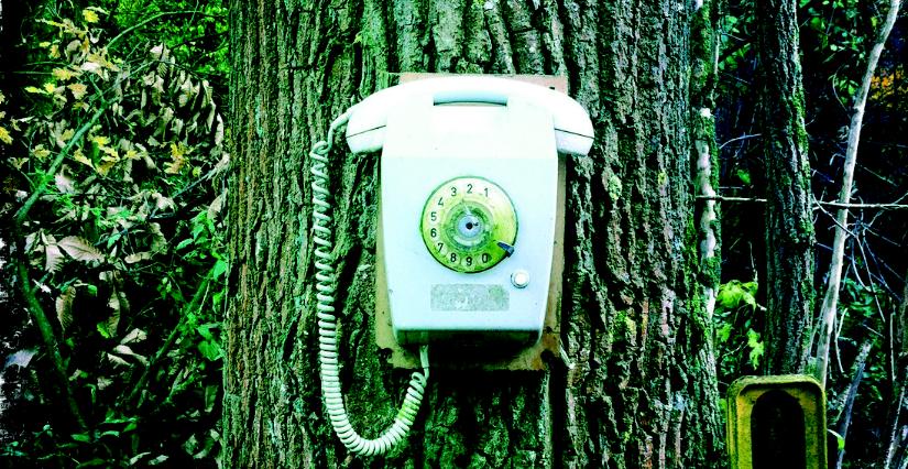 "Le SAV de Dame Nature" spectacle jeune public - La Ruche en Scène à Orléans