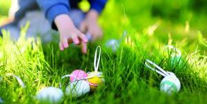 HOP en famille ! Chasse aux oeufs au Domaine du Donjon à Olivet 