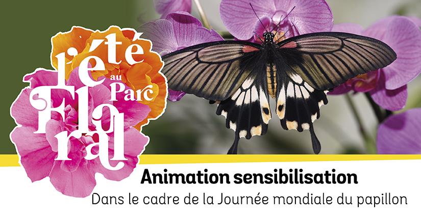 Explorez le monde secret des papillons au Parc Floral de la Source à Orléans