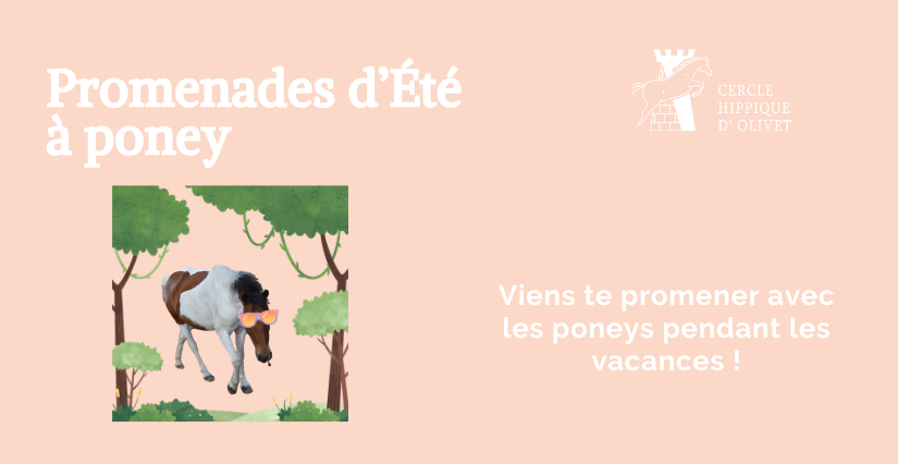 Promenades d'été à poney avec le Cercle Hippique d'Olivet