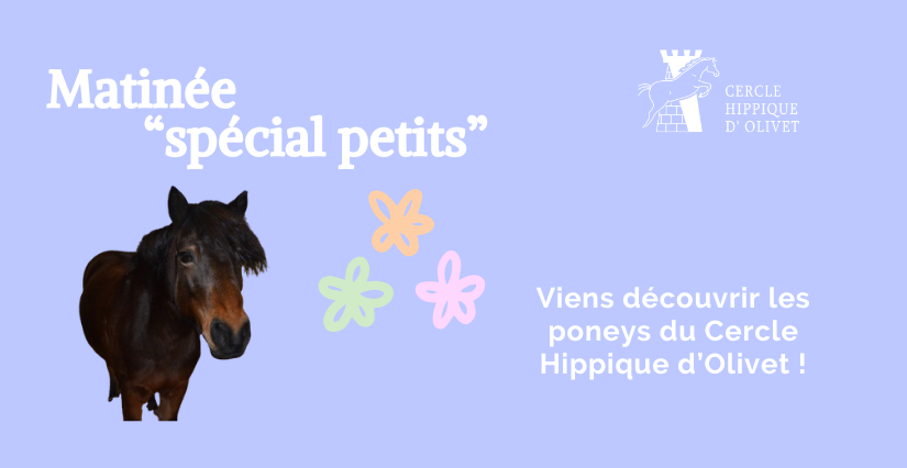 Matinée "spécial petits" avec les poneys - Cercle Hippique d'Olivet