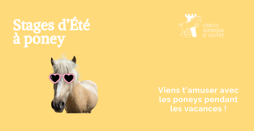 Stage d'équitation / poney des vacances d'été pour enfants - Cercle Hippique d'Olivet