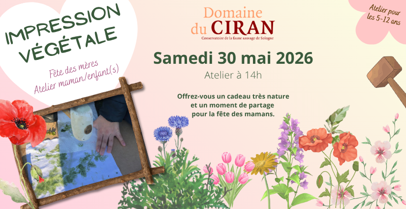 Atelier fête des mères "Impression végétale" : atelier maman/enfant(s) - Domaine du Ciran