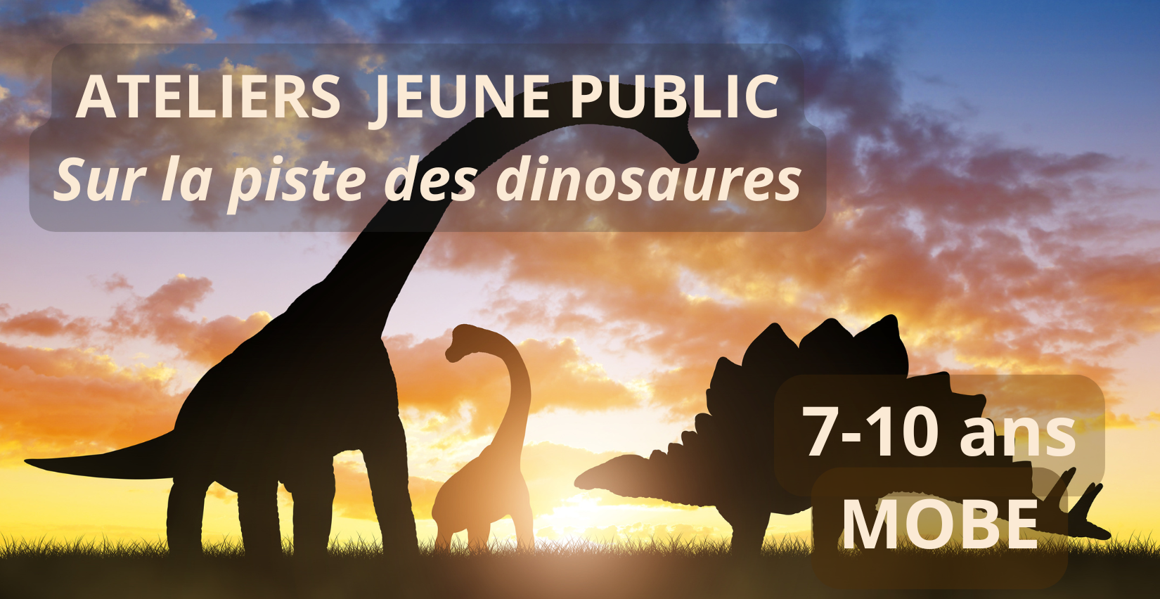 Sur la piste des dinosaures : atelier pour les 7-10 ans au MOBE (Muséum d'Orléans)