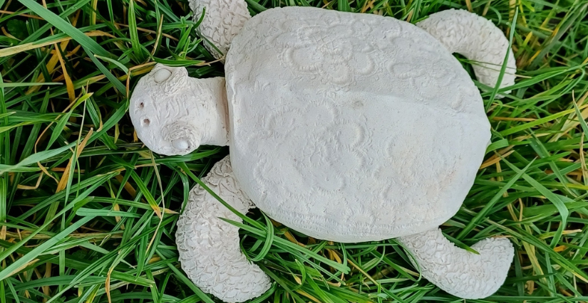 Atelier de modelage : La tortue et son bébé -Beaugency