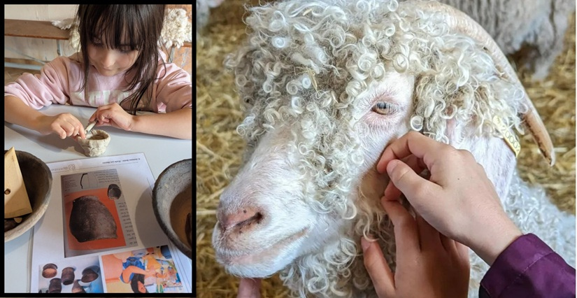 Atelier nourrissage & poterie – Deviens l’archéologue de la ferme des P’tits Bergers