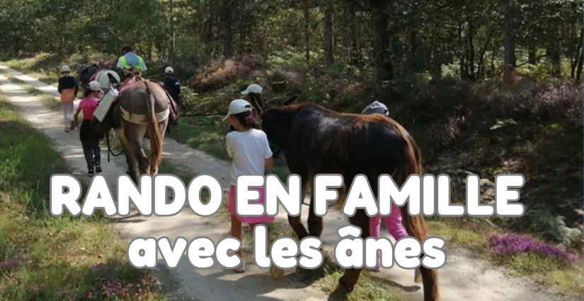 Rando en famille avec les ânes - avec la Ferme Bonnet d'Âne et Cerf Volant à Ingrannes