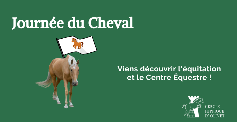 Journée du Cheval au Cercle Hippique d’Olivet : animations et découverte de l'équitation en famille