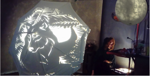 L'oeil du Loup, spectacle jeune public au MOBE (Muséum d'Orléans pour la Biodiversité et l'Environnement)