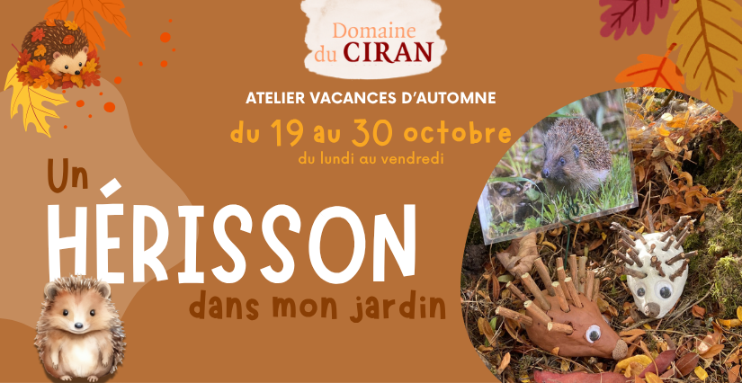 Atelier vacances d’automne - Domaine du Ciran (Ménestreau-en-Villette)