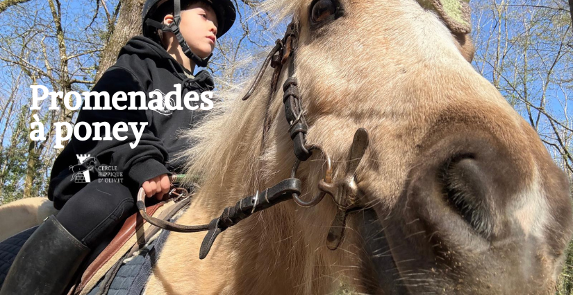 Promenades à poney avec le Cercle Hippique d'Olivet