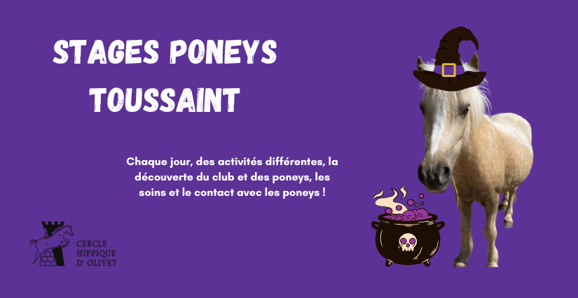Stage d'équitation / poney des vacances d'automne pour enfants - Cercle Hippique d'Olivet