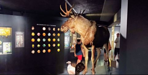 Muséum d'Orléans pour la Biodiversité et l'Environnement