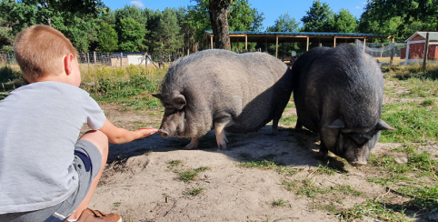 Visite guidée à la ferme pédagogique Moutons et Cie à Chanteau, près d'Orléans