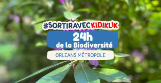 24h de la Biodiversité 2025 : partez à la rencontre des super-héros de la nature !
