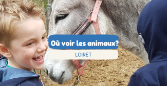 Où voir les animaux avec les enfants dans le Loiret ?