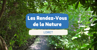 Les Rendez-vous de la Nature dans le Loiret : 200 sorties nature gratuites toute l’année