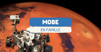 Muséum d’Orléans : que faire en famille avec des enfants ? Animations, ateliers et visites au MOBE