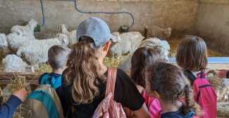 Des ateliers pour les groupes à La Ferme des P'tits Bergers à Chaussy